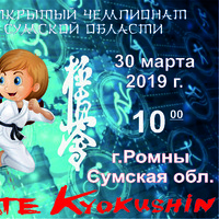 11-й открытый чемпионат Сумской области по киокушин каратэ WKB в г. Ромны, 30 марта.