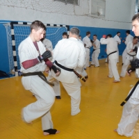 DSC_7553.JPG