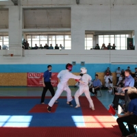 Юношеский чемпионат по Киокушинкай карате 06.04.2013, Фото №10