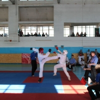 Юношеский чемпионат по Киокушинкай карате 06.04.2013, Фото №11