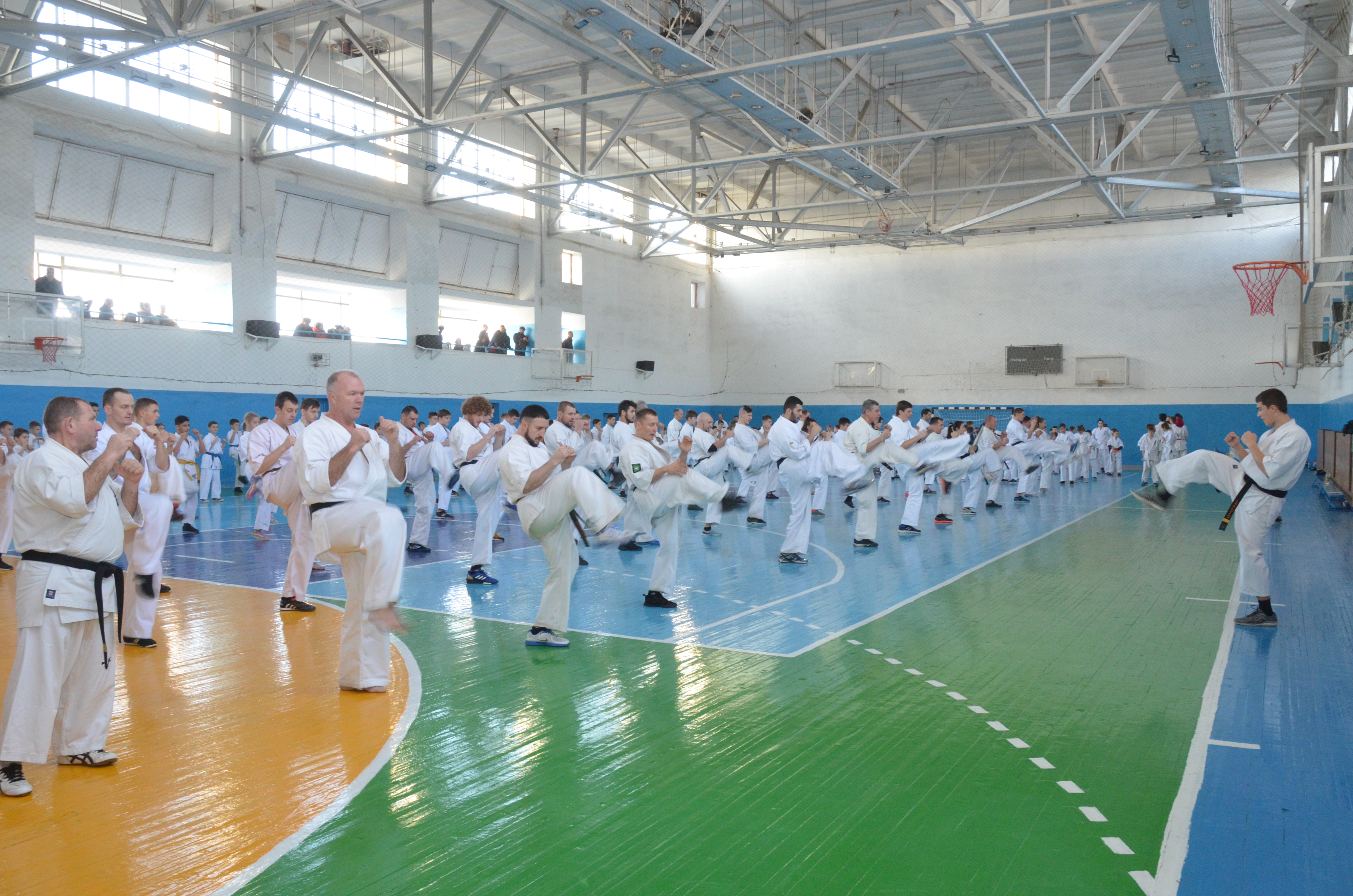 DSC_6010.JPG