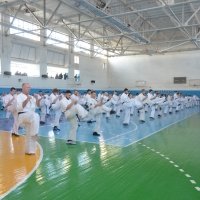 DSC_6010.JPG