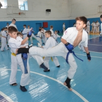 DSC_7733.JPG