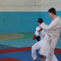 Юношеский чемпионат по Киокушинкай карате 06.04.2013, Фото №29