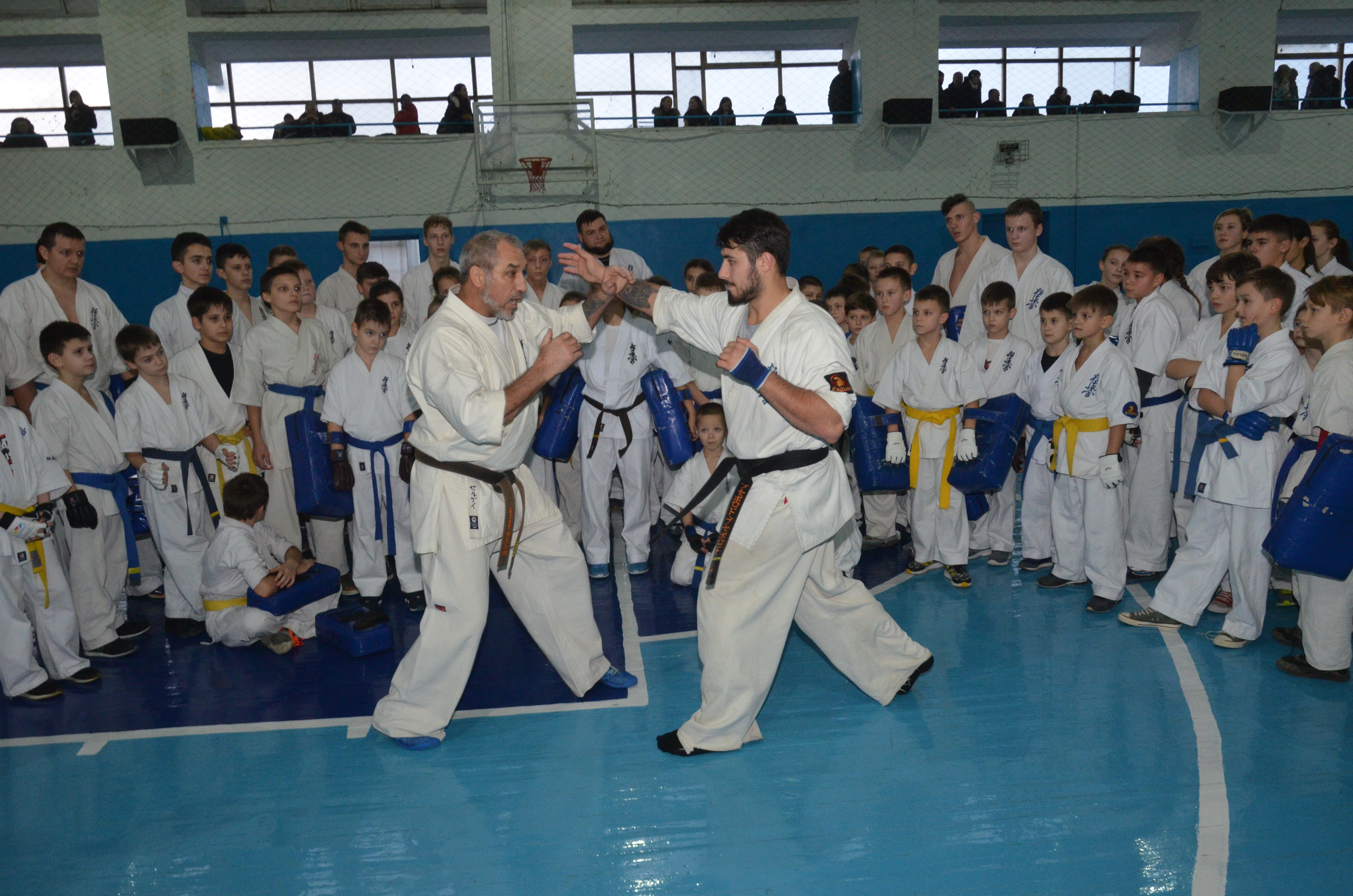 DSC_6602.JPG
