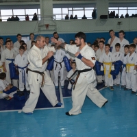 DSC_6602.JPG