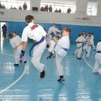 DSC_7734.JPG