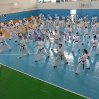 DSC_6118.JPG