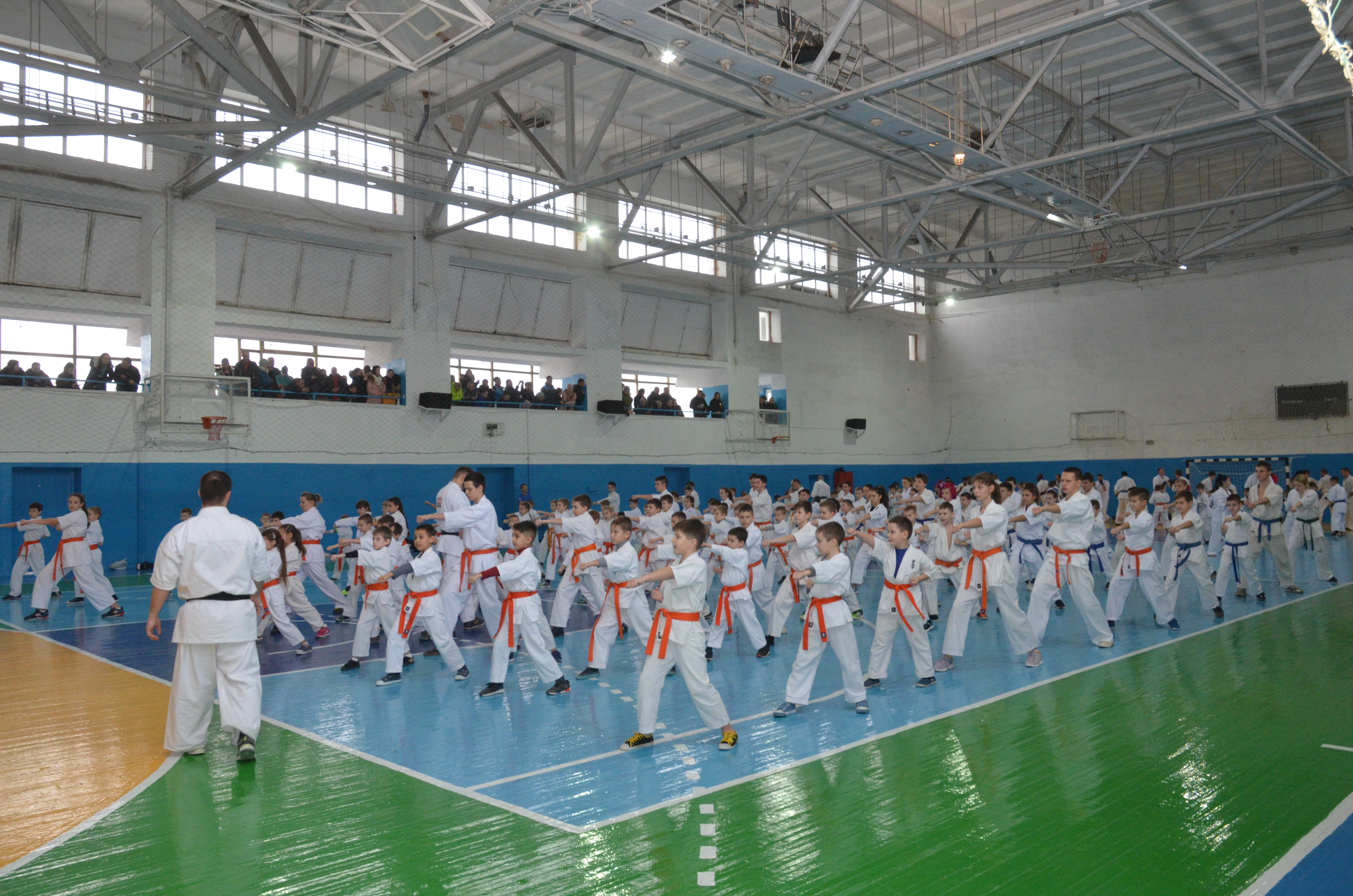 DSC_7018.JPG