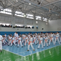 DSC_7018.JPG