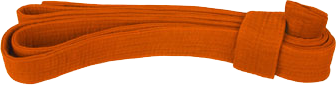 Оранжевый пояс с синей полоской