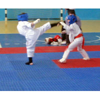 Отчет о Чемпионате по киокушин карате в г. Херсон 06.04.2013